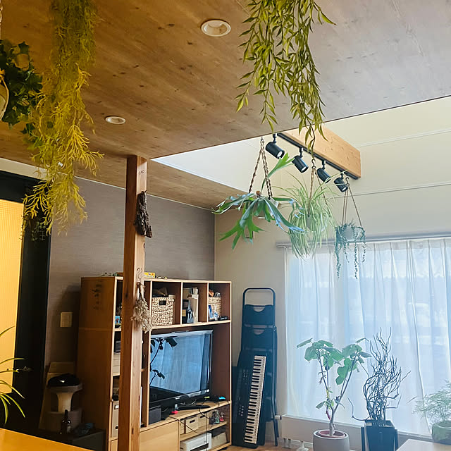 shin-chaa-mamaさんの部屋