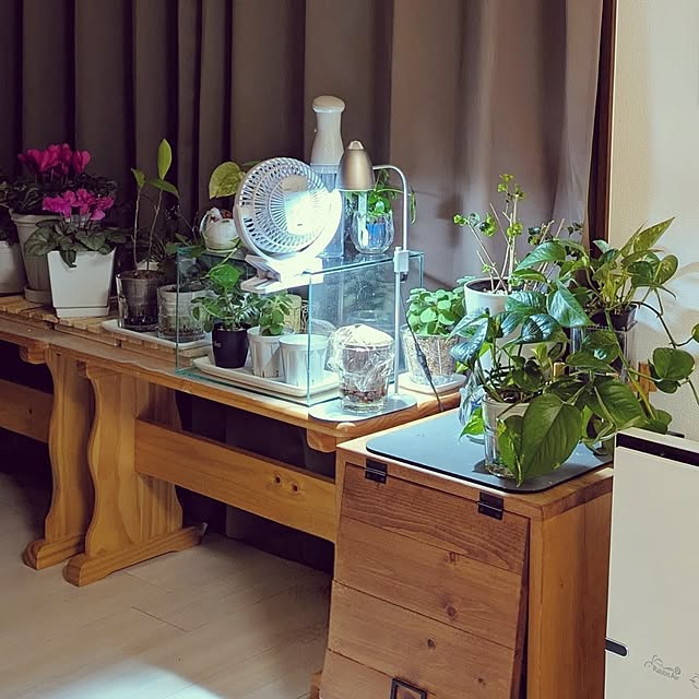 mi-saさんの部屋