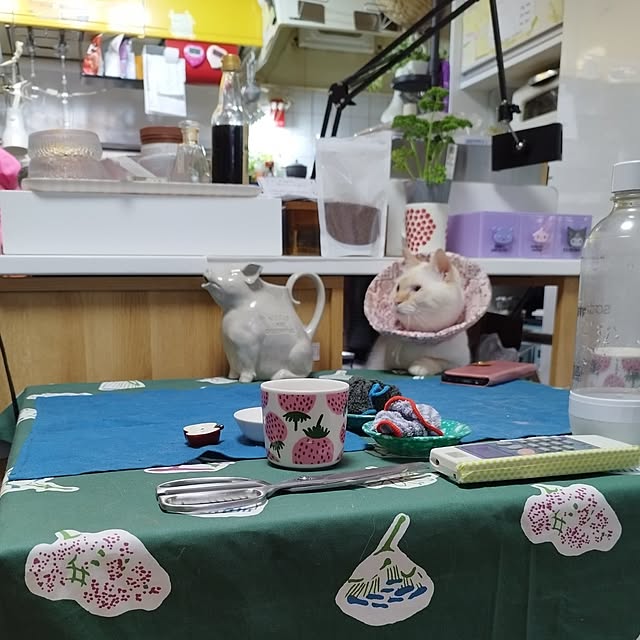 Yさんの部屋