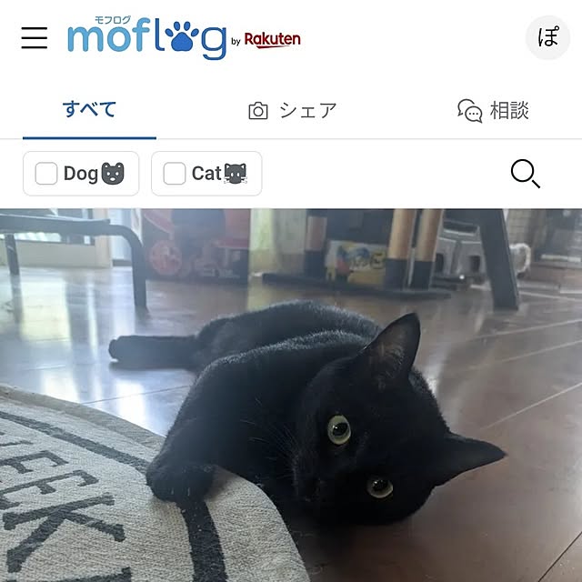 ciiiさんの実例写真