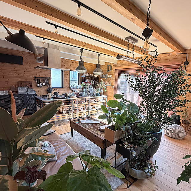 puffloveさんの部屋