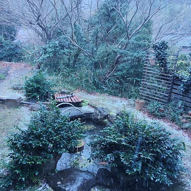 peace1248さんの実例写真