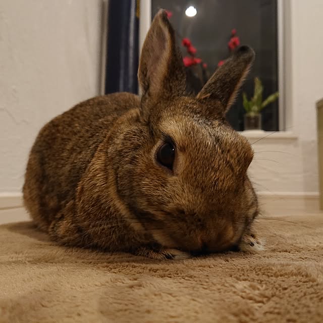 yuuuuさんの部屋