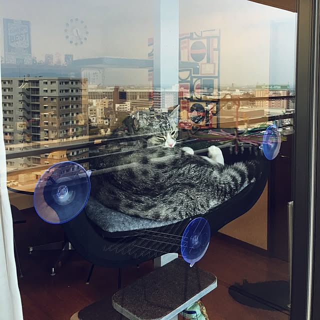 Shojiさんの実例写真