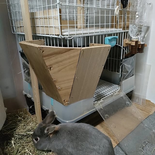 mori_6_12さんの部屋