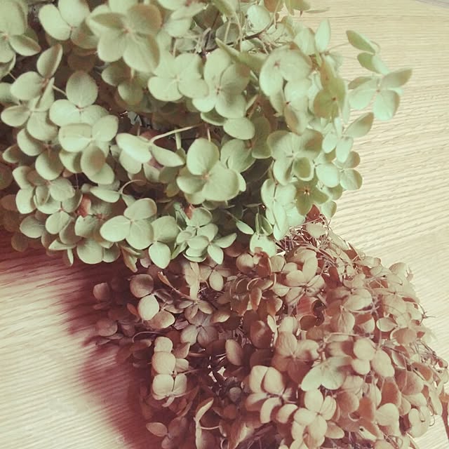 emimiさんの実例写真