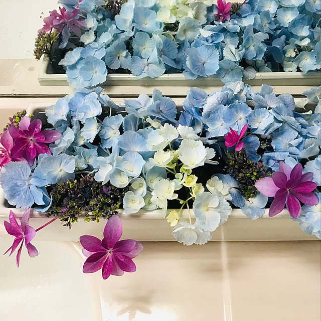 roseさんの実例写真