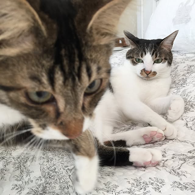 yuchiさんの実例写真