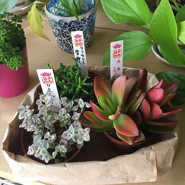 実例写真