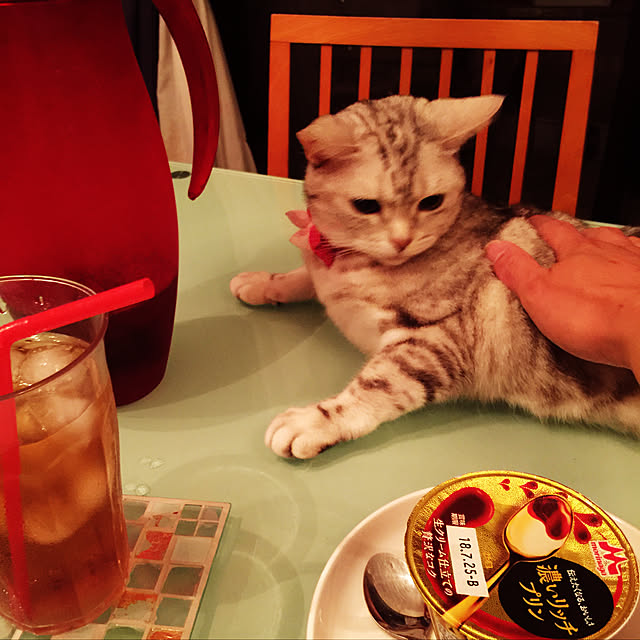 fantasticさんの実例写真