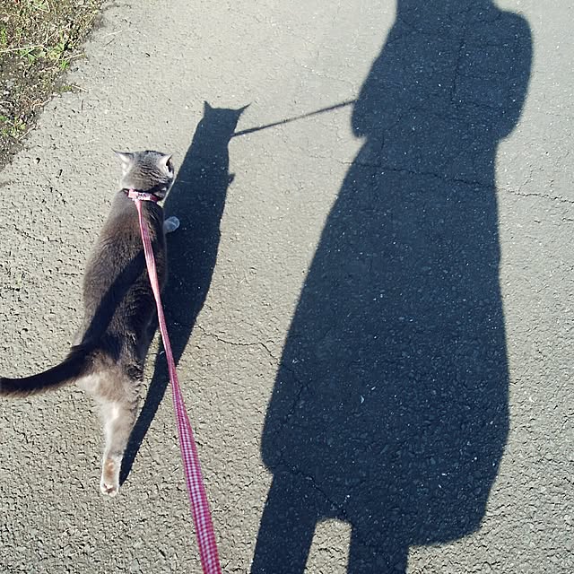 tomo1220さんの実例写真