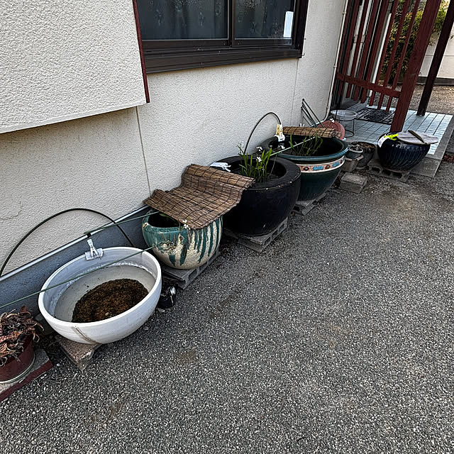 chIoeさんの部屋