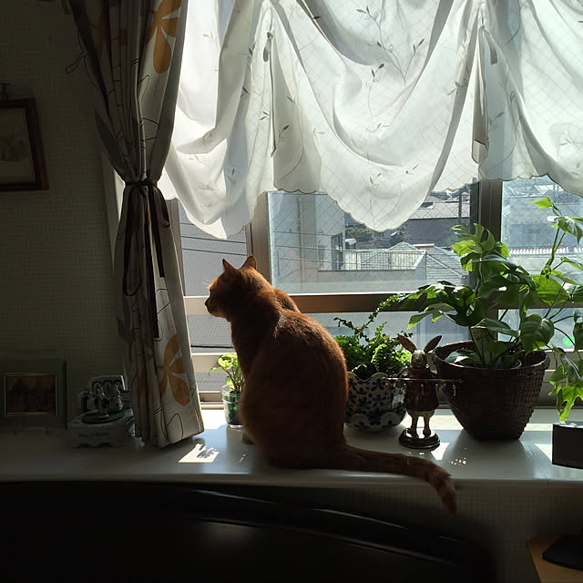 sleptcatさんの実例写真
