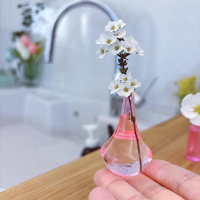 tomatoさんの部屋