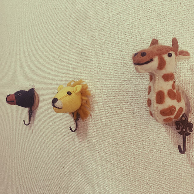 Kazumiさんの実例写真