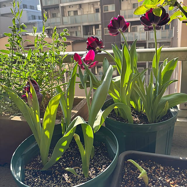 satsuki1605さんの部屋