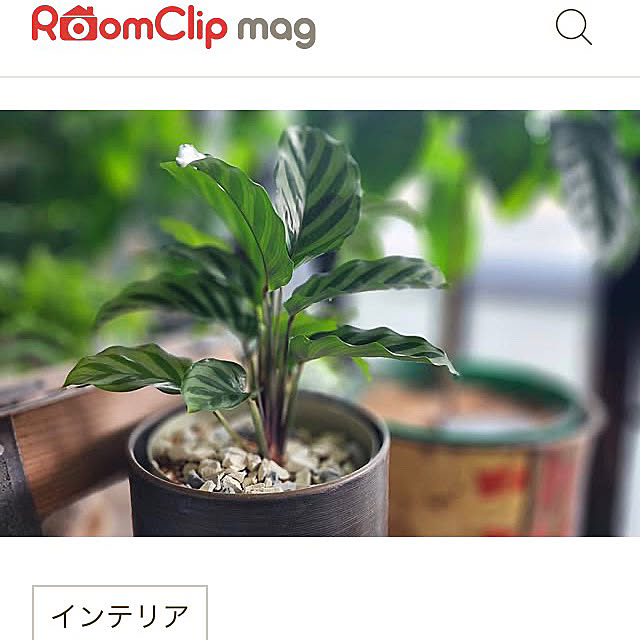 MOMOMAMAさんの実例写真