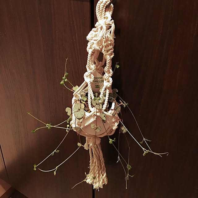 beetlechanさんの実例写真