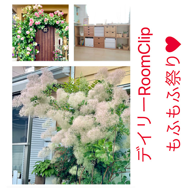 asako.10さんの実例写真