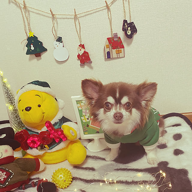 chIoeさんの実例写真