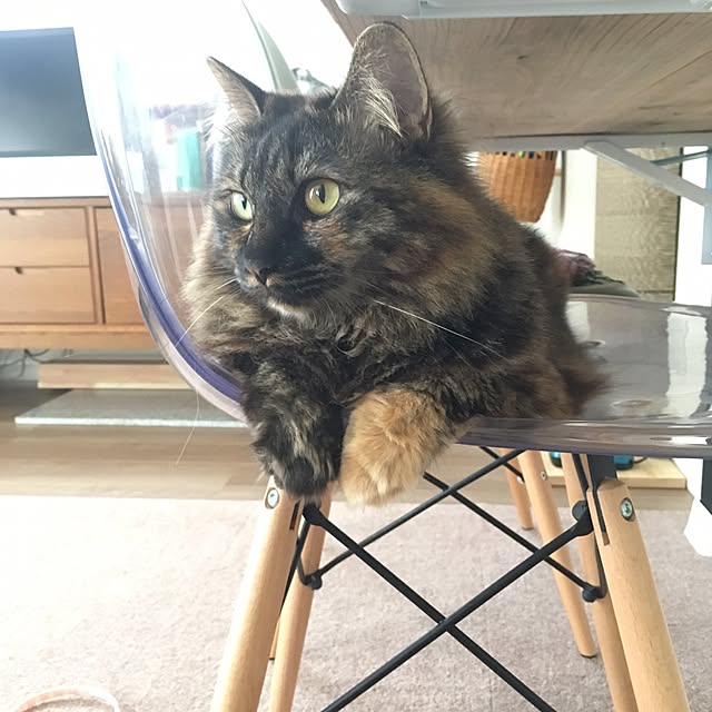 mikomaruさんの実例写真