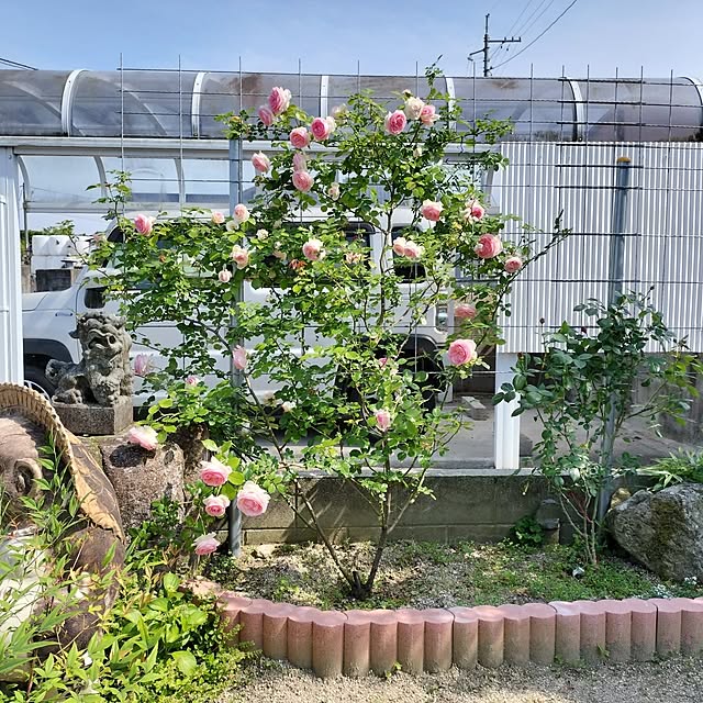 sumimarumiさんの部屋