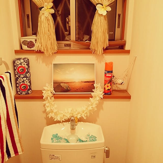 Minnieさんの実例写真