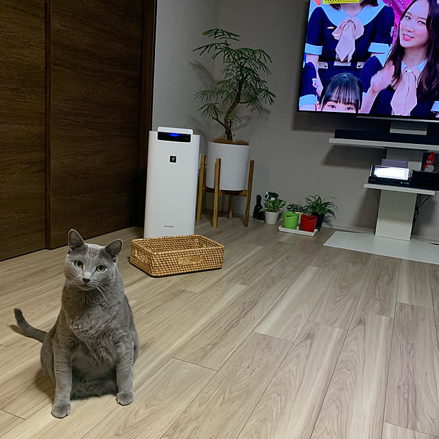 sayuuuさんの実例写真