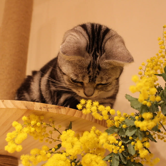 Aさんの実例写真