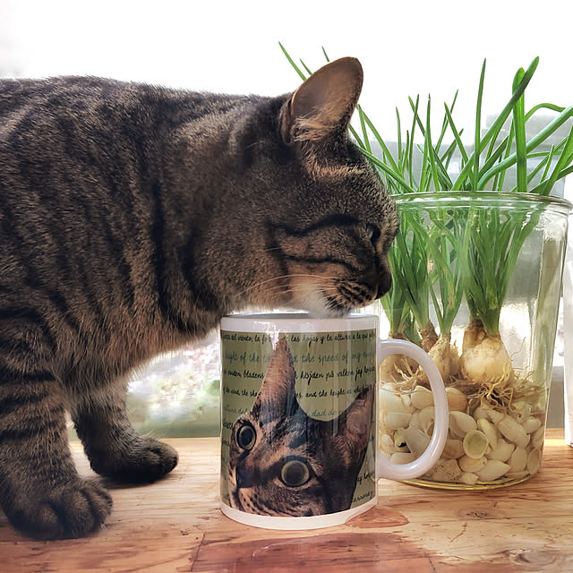 weさんの実例写真