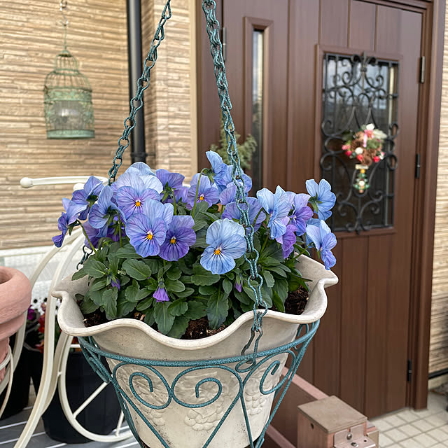 ronronさんの部屋