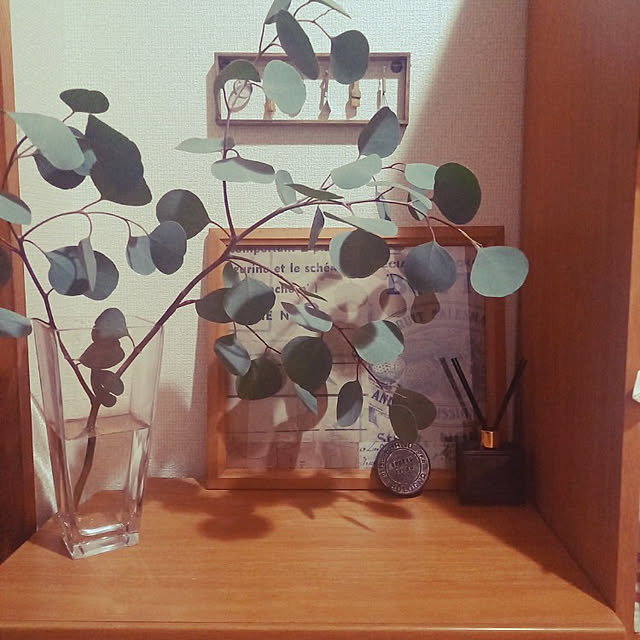 tonさんの実例写真