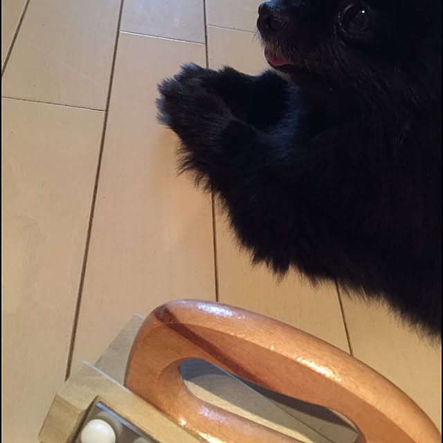 ohanaさんの実例写真