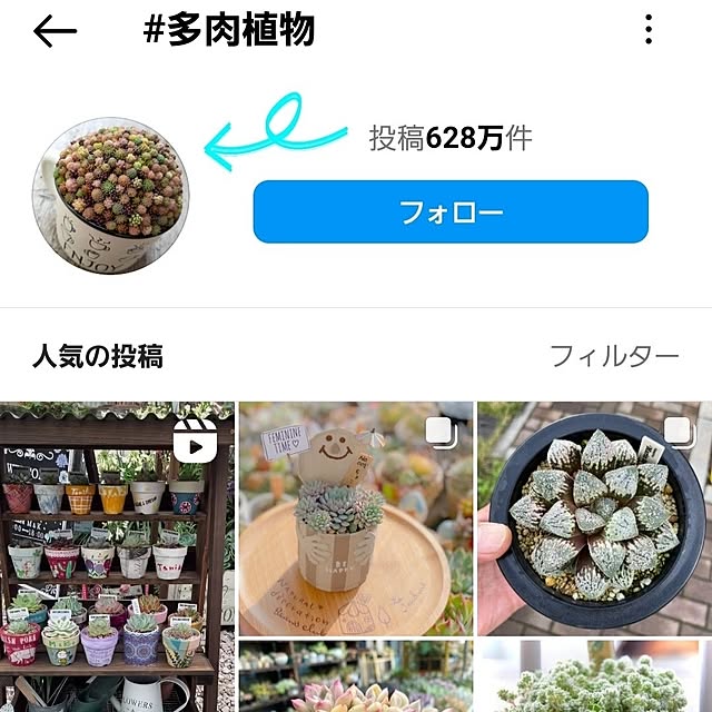 amtさんの実例写真