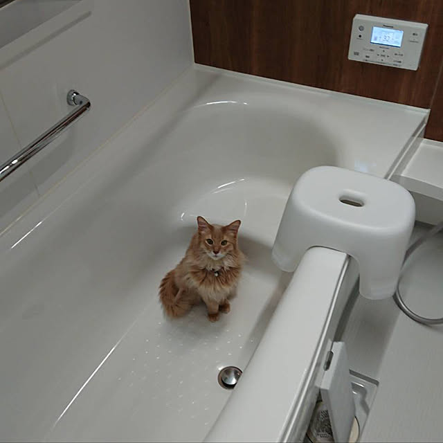 mofucatさんの実例写真