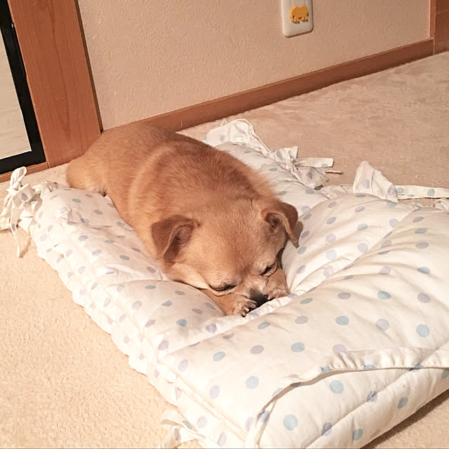haritakaさんの実例写真