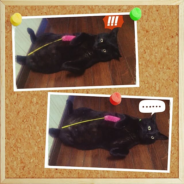 LittleMyさんの実例写真