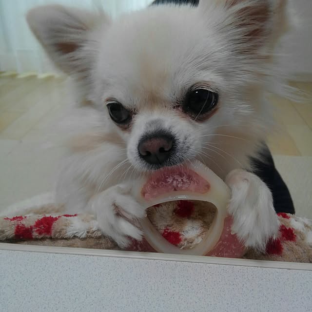 okuriさんの実例写真