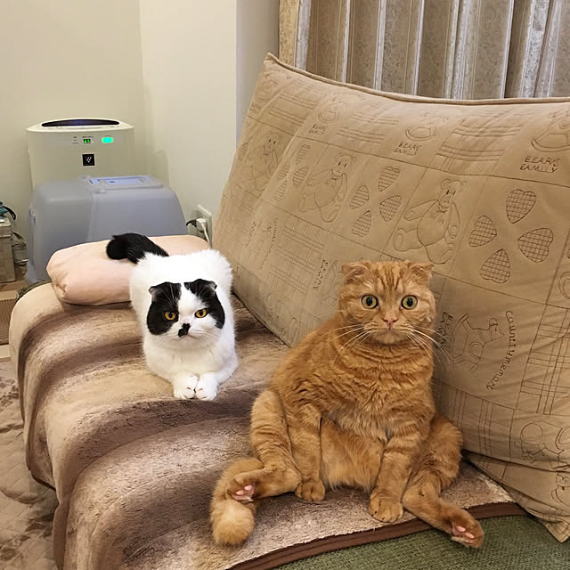 pinaminさんの実例写真