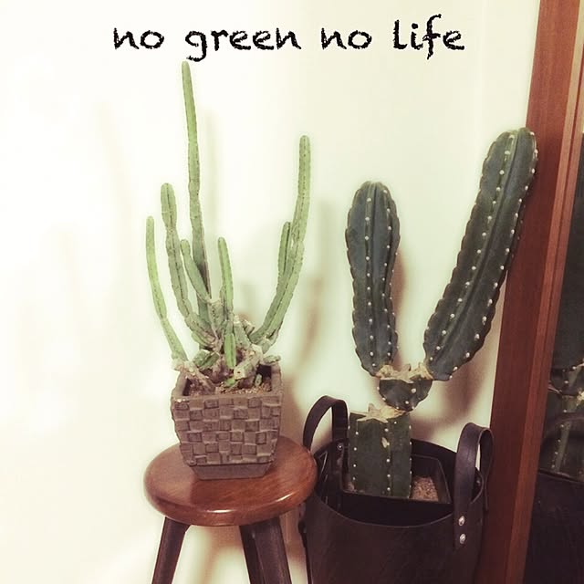 mika4946さんの実例写真
