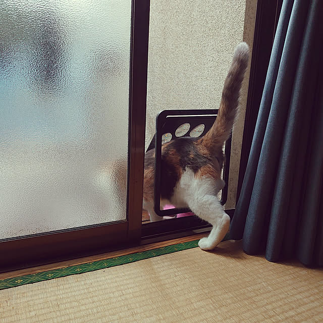 fukuさんの実例写真