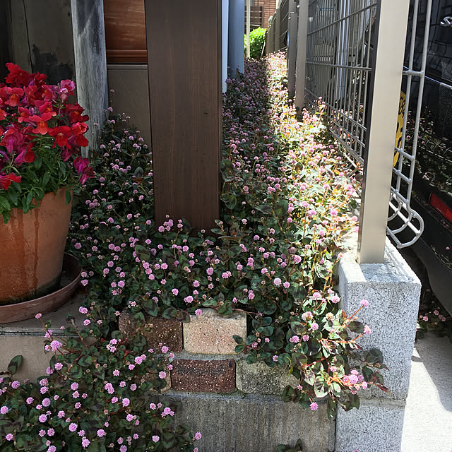 furu.さんの実例写真