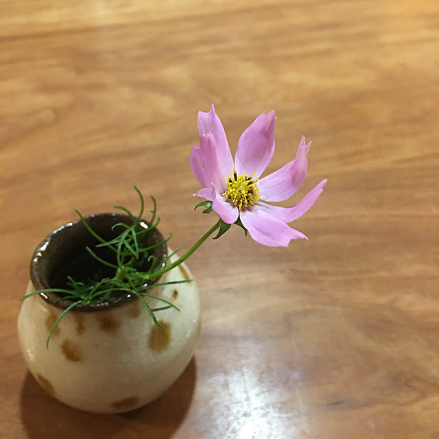 yunipoさんの実例写真