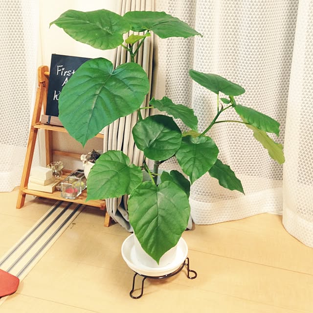 Mさんの実例写真