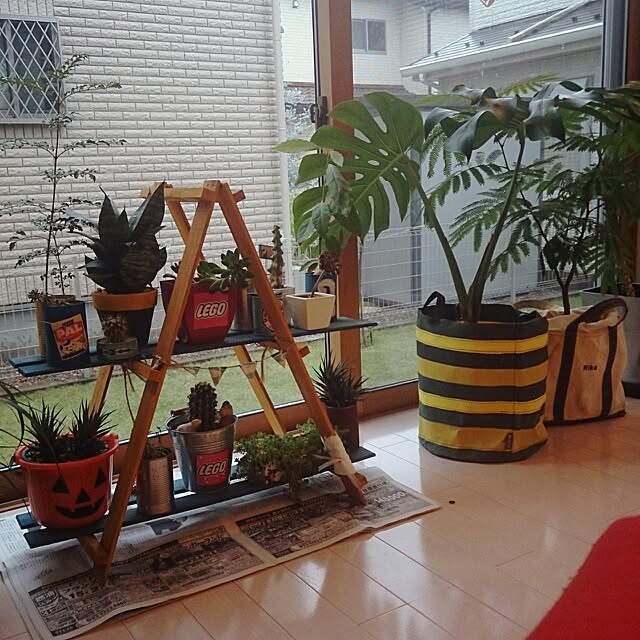 urchinさんの実例写真