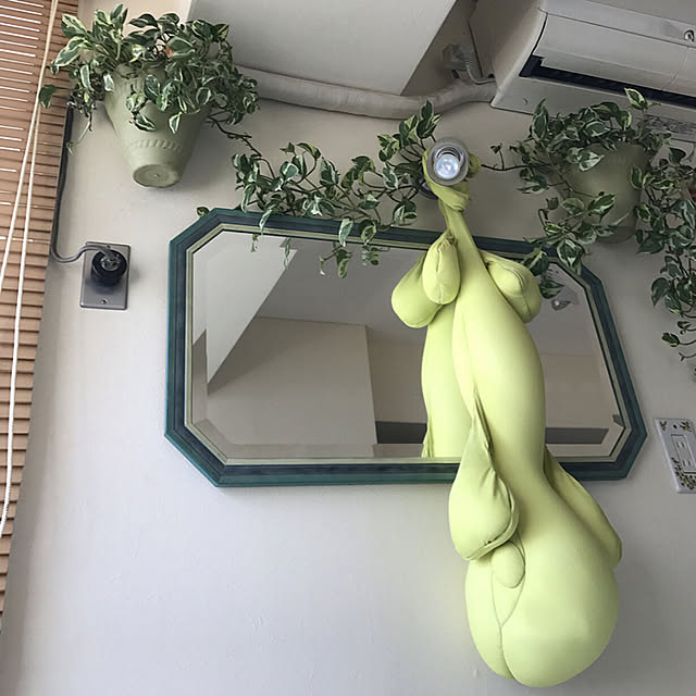 mizucchiさんの実例写真