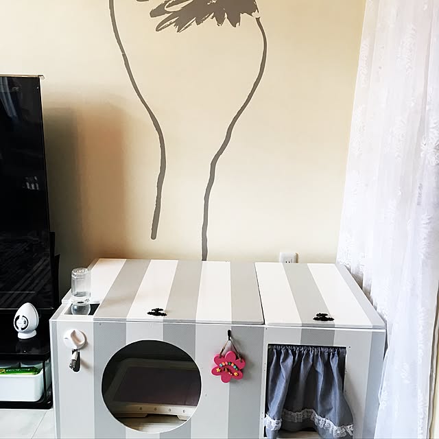Shokoさんの実例写真