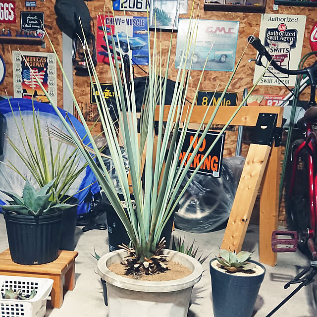 ot-gardenさんの実例写真