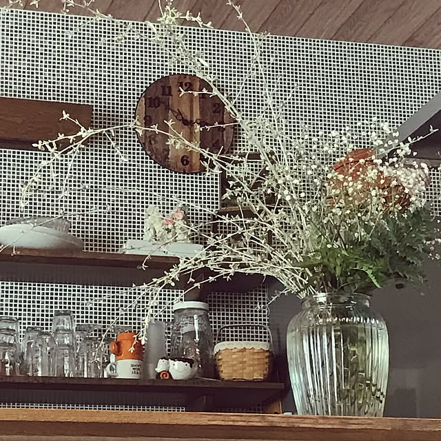 キッチン/観葉植物のインテリア実例 - 2017-03-21 14:51:52