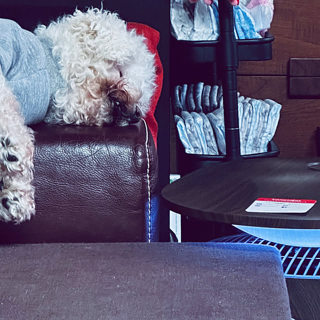 chacoさんの部屋